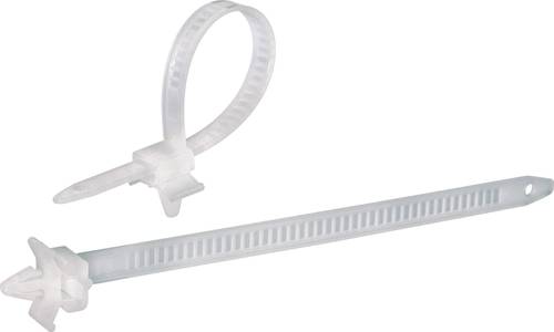 TRU Components 1592899 TC-PHV150203 Kabelbinder 150 mm 7.90 mm Natur mit Spreizanker 100 St.
