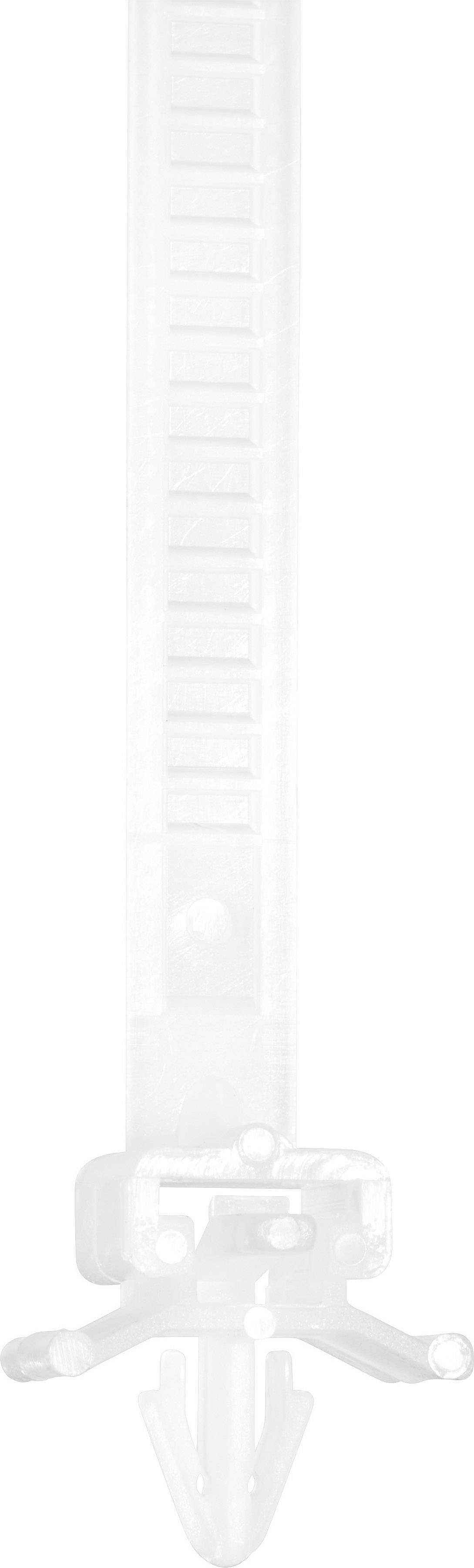 TRU Components 1592899 TC-PHV150203 Kabelbinder 150mm 7.90mm Natur mit Spreizanker 100St.