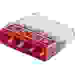 WAGO Dosenklemme starr: 0.5-2.5mm² Polzahl (num): 4 Transparent, Rot