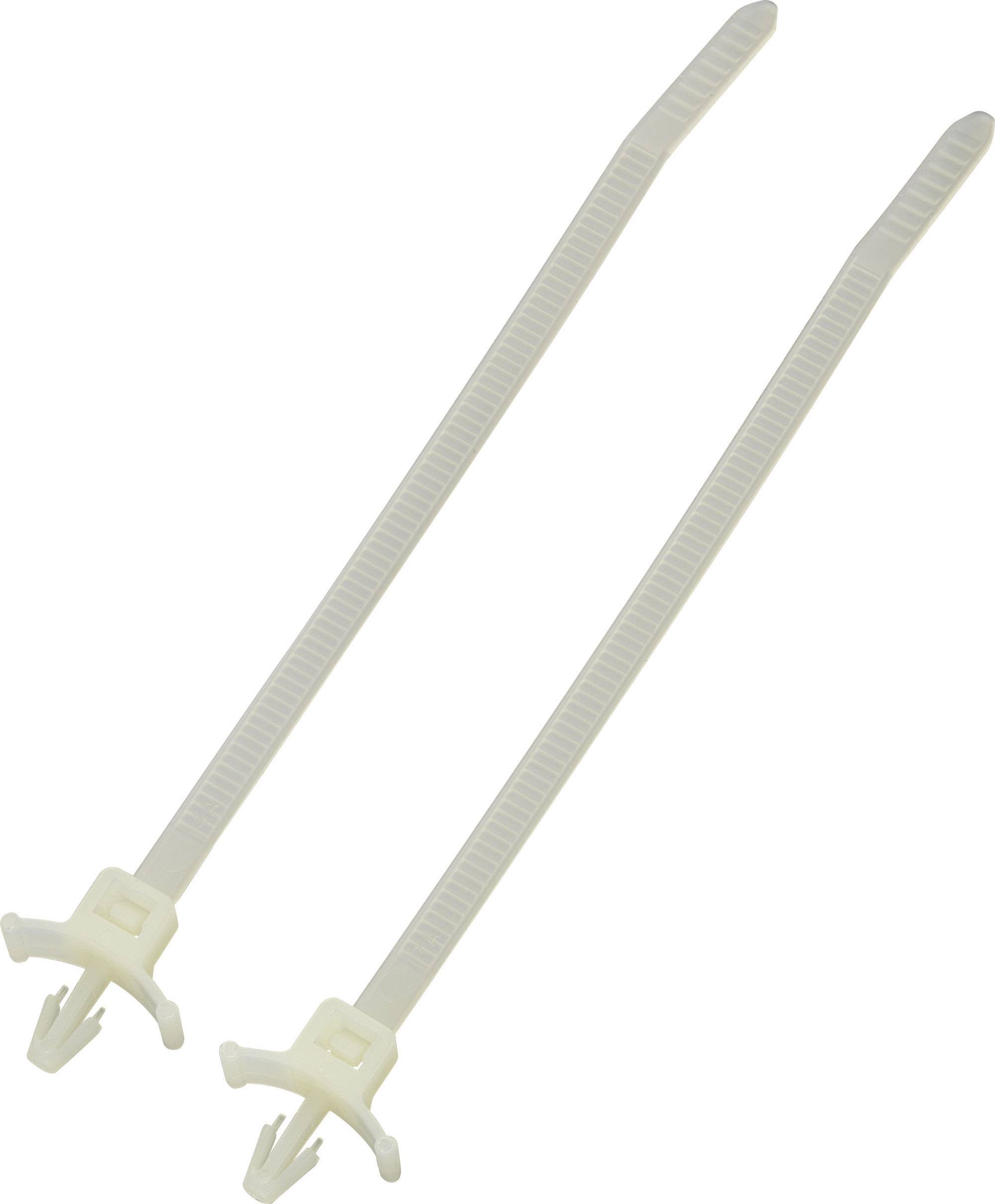 TRU Components 1592911 TC-PWVS100203 Kabelbinder 112mm 2.50mm Natur mit Spreizanker