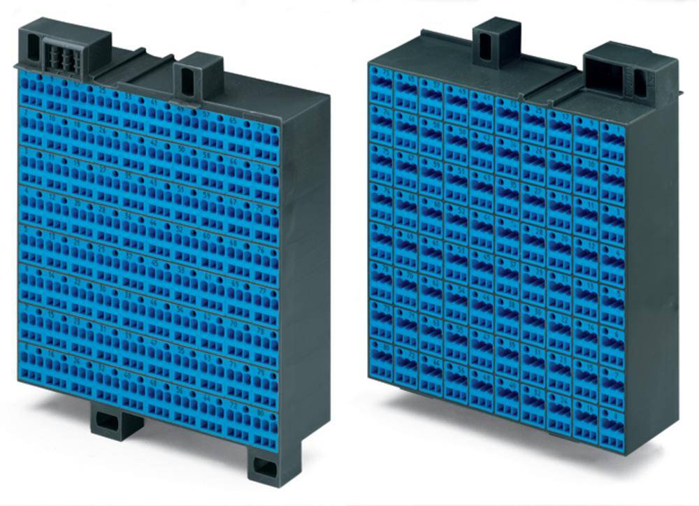 Zwei blaue elektrische Verteilerblöcke, nebeneinander stehend; sie sind rechteckig und haben viele kleine Anschlussbuchsen.