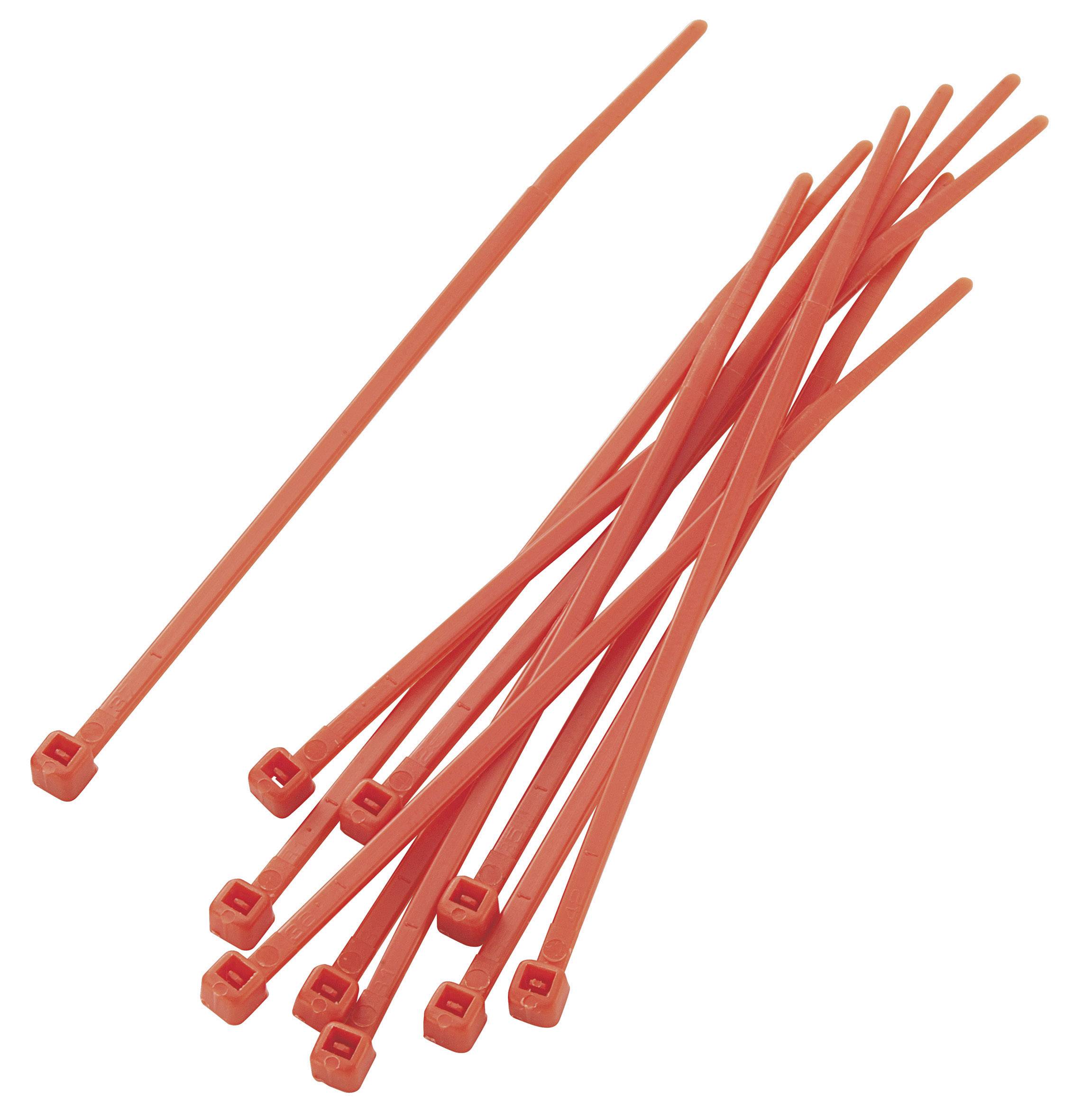 TRU Components 1592780 TC-PBR-100-4RD203 Kabelbinder 100mm 2.50mm Rot 100St.