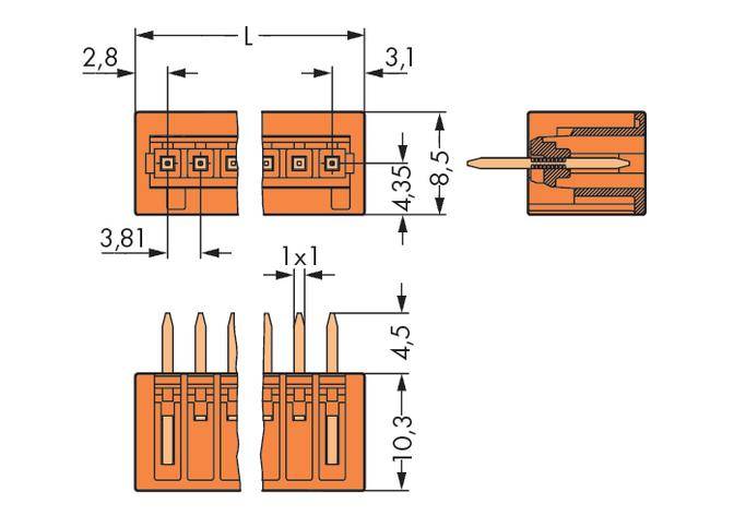 Steckverbinder-Röntgenansicht mit Maßangaben: Breite 2,8 mm, Länge 3,1 mm, Höhe 8,5 mm; Stiftabstand 3,81 mm; Beschriftet '1x1'.