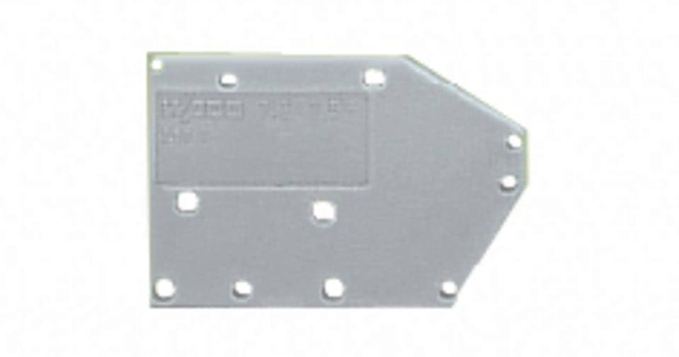 Metallplatte mit unregelmäßigem Umriss und mehreren Bohrlöchern. Oberflächenstruktur erkennbar. Funktion und Hintergrund unbekannt.