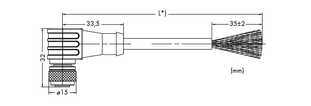 Technische Zeichnung einer Bürste mit Maßangaben: Gesamtlänge (L*) und Breite (ø15, ø32 mm). Ansichten von Vorder- und Seitenprofil.