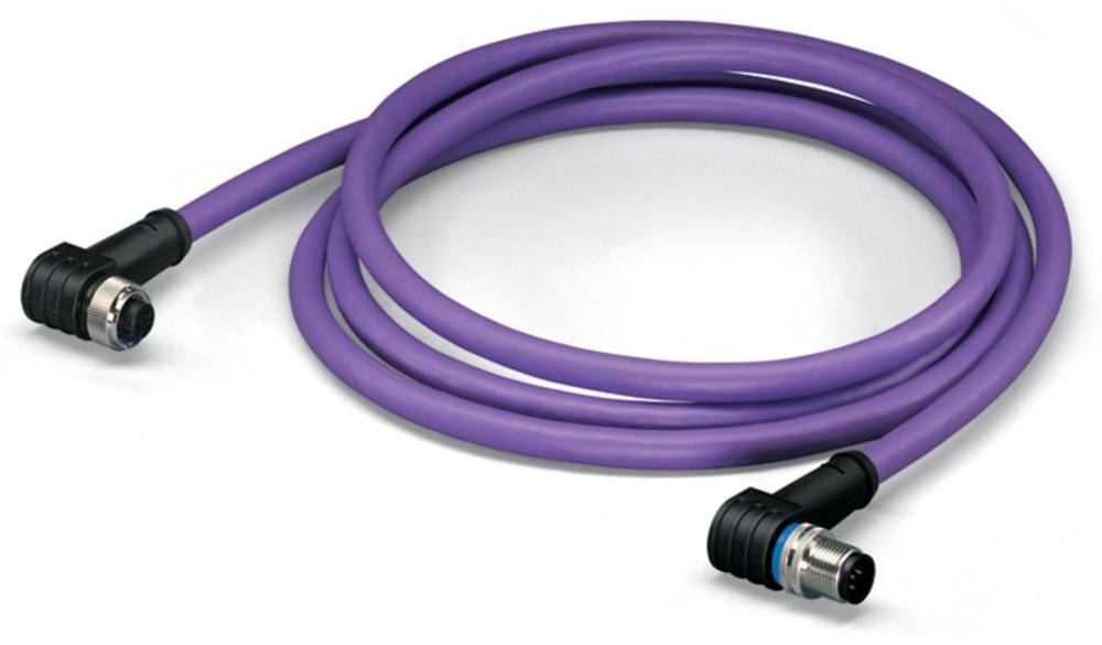 Ein langes, lila Kabel mit schwarzen Steckern an beiden Enden, liegt in einer lose kreisförmigen Schleife auf einer weißen Oberfläche.