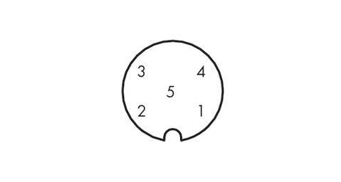 WAGO 756-1401/060-050 Sensor-/Aktor-Datensteckverbinder, konfektioniert M12 Buchse, gerade 5.00 m Polzahl Sensoren: 5 1 St.