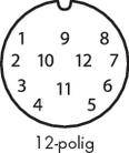 '12-polig' Kreisdarstellung mit numerierten Feldern von 1 bis 12, beginnend oben in der Mitte und im Uhrzeigersinn angeordnet.