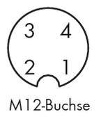 Steckerbelegung der M12-Buchse, kreisförmig: oben links 3, oben rechts 4, unten links 2, unten rechts 1.