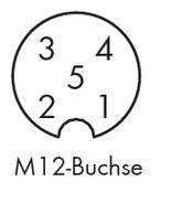 'M12-Buchse' dargestellt mit fünf nummerierten Pins in einem kreisförmigen Layout.
