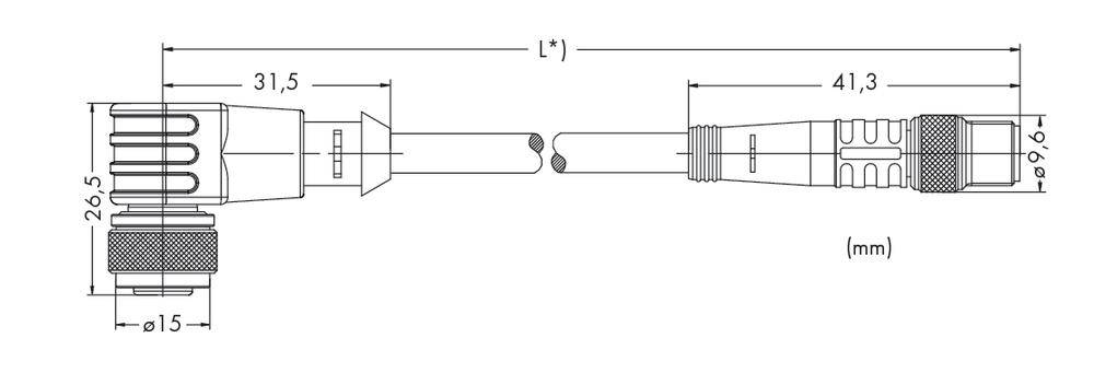 Technische Zeichnung eines Steckers mit Abmessungen: Gesamtlänge (L*), Durchmesser 15 mm, Teile mit 31,5 mm und 41,3 mm.