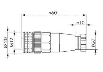 Technische Zeichnung eines Steckverbinders. Maße: Länge ca. 60 mm, Durchmesser ca. 20 mm (M12) bis ca. 10 mm (PG7).