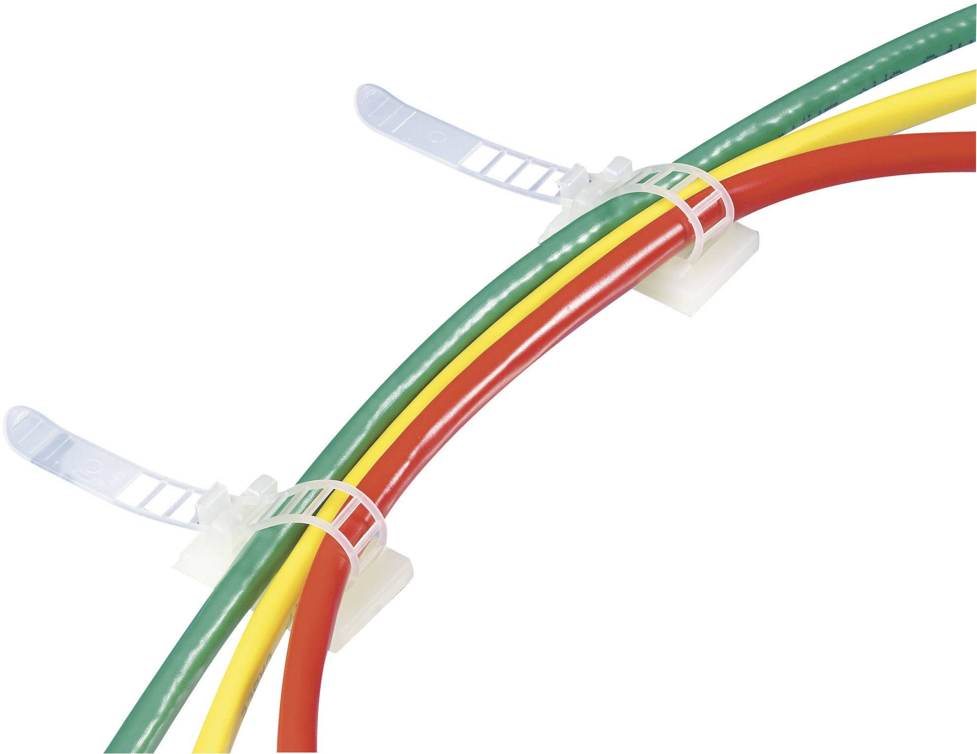 TRU COMPONENTS WCT-85 Befestigungssockel selbstklebend, schraubbar 540694 Bündel-Ø-Bereich 22mm (max) mit Befestigungsbinder Natur