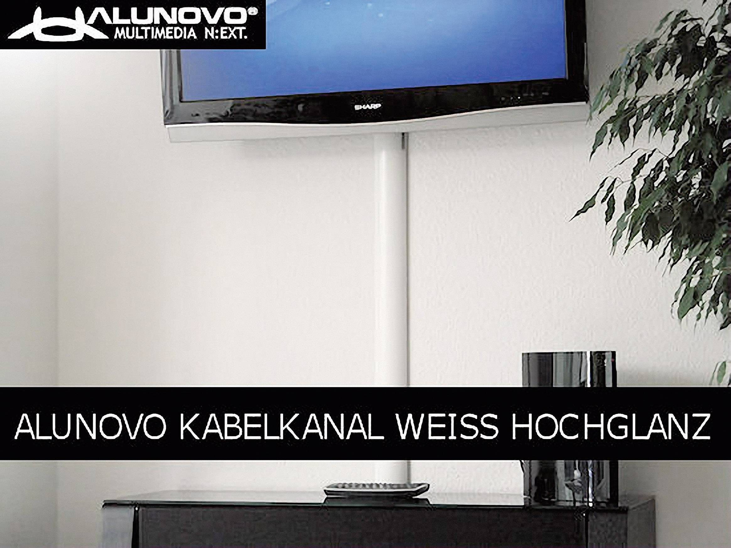 Ein weißer Kabelkanal verläuft vertikal an einer Wand unter einem schwarzen Flachbildfernseher. Daneben steht eine grüne Zimmerpflanze.