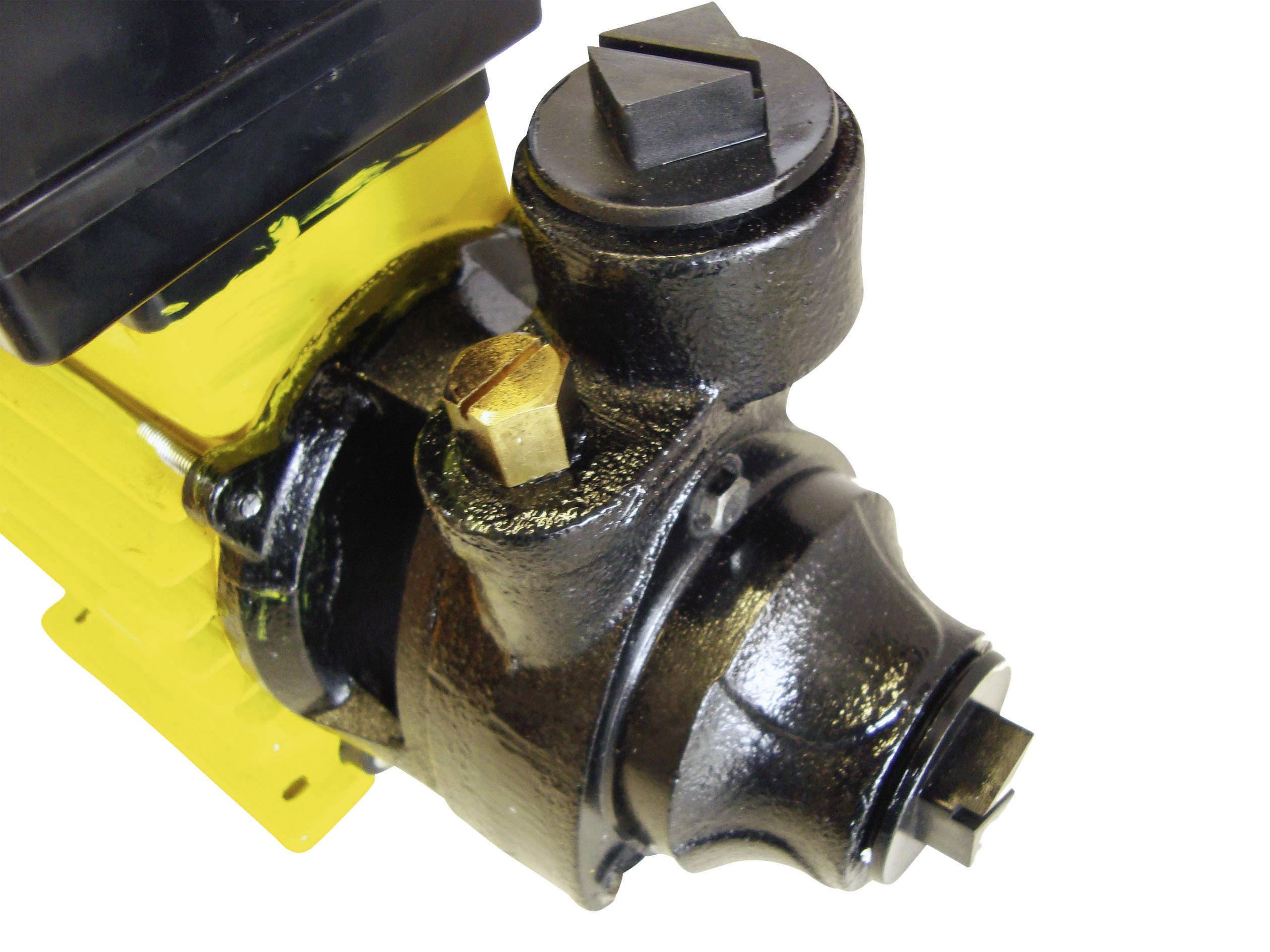 Mauk 165 Elektrische Diesel- und Heizölpumpe 230 V 2400 l/h