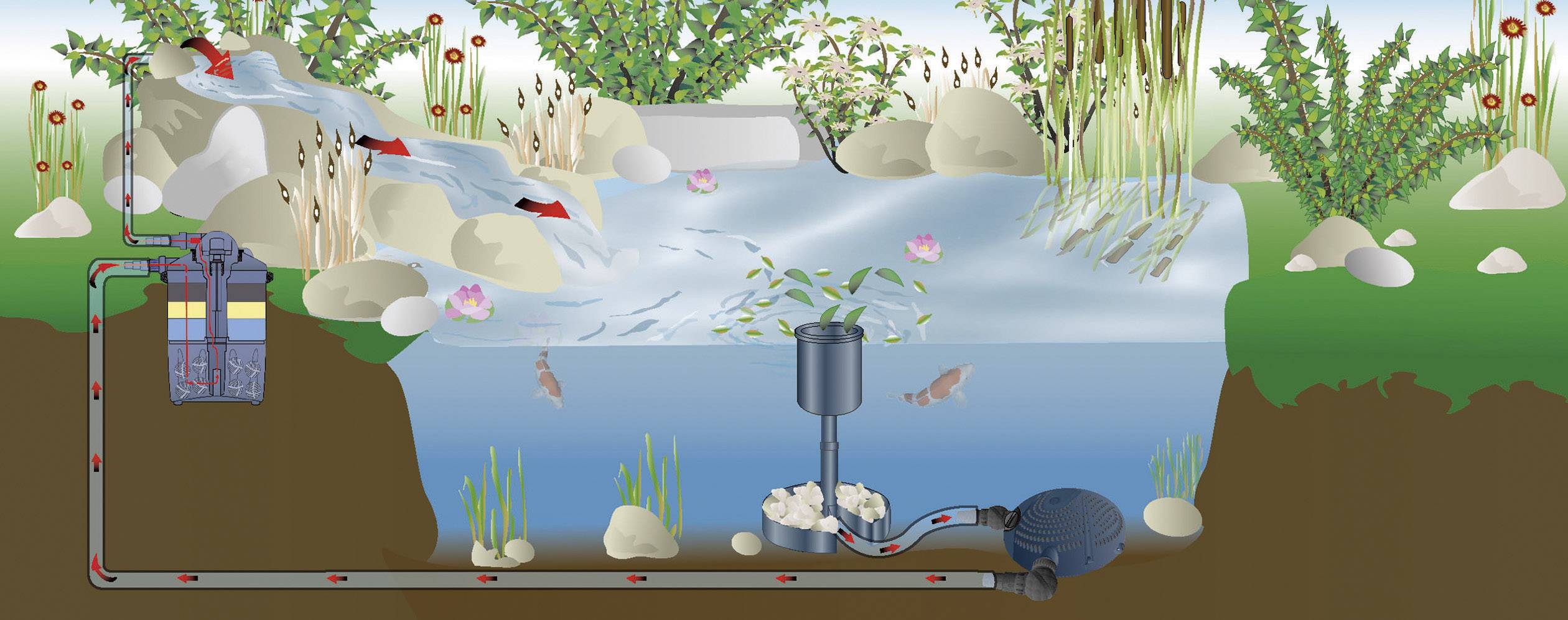 Schematische Darstellung eines Teichfiltersystems: Wasser fließt über Steine, wird gefiltert und in den Teich zurückgepumpt. Fische schwimmen im Teich.