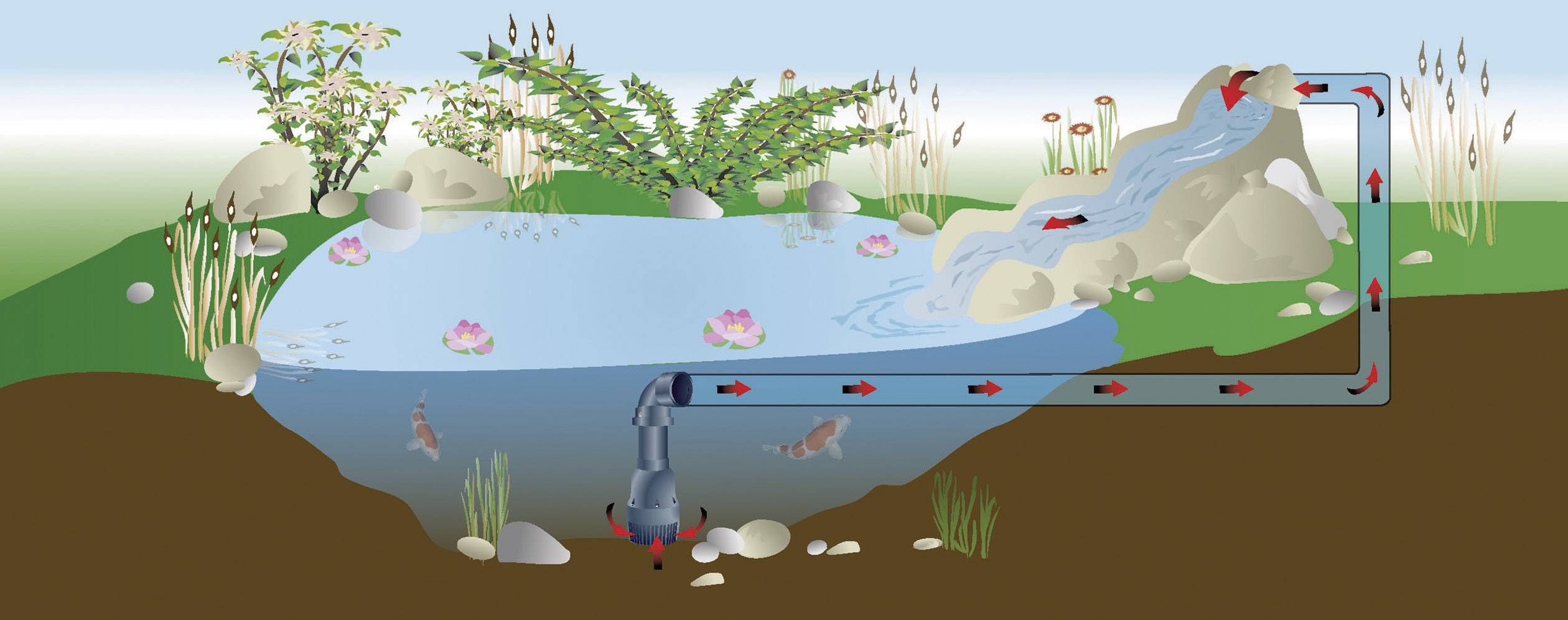 Diagramm eines Wasserkreislaufs in einem Gartenteich. Wasser fließt von einem Bach in den Teich, wird gefiltert und zurückgepumpt.