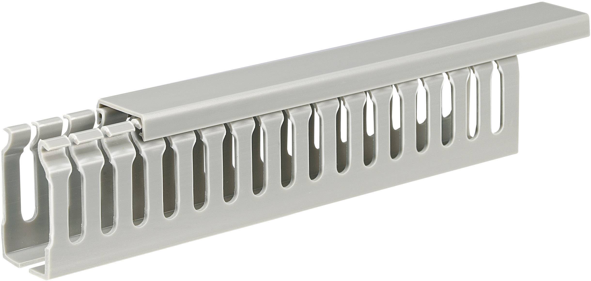 Sygonix SY-5045596 Verdrahtungskanal (L x B x H) 2000 x 25 x 45mm 1 St. Grau