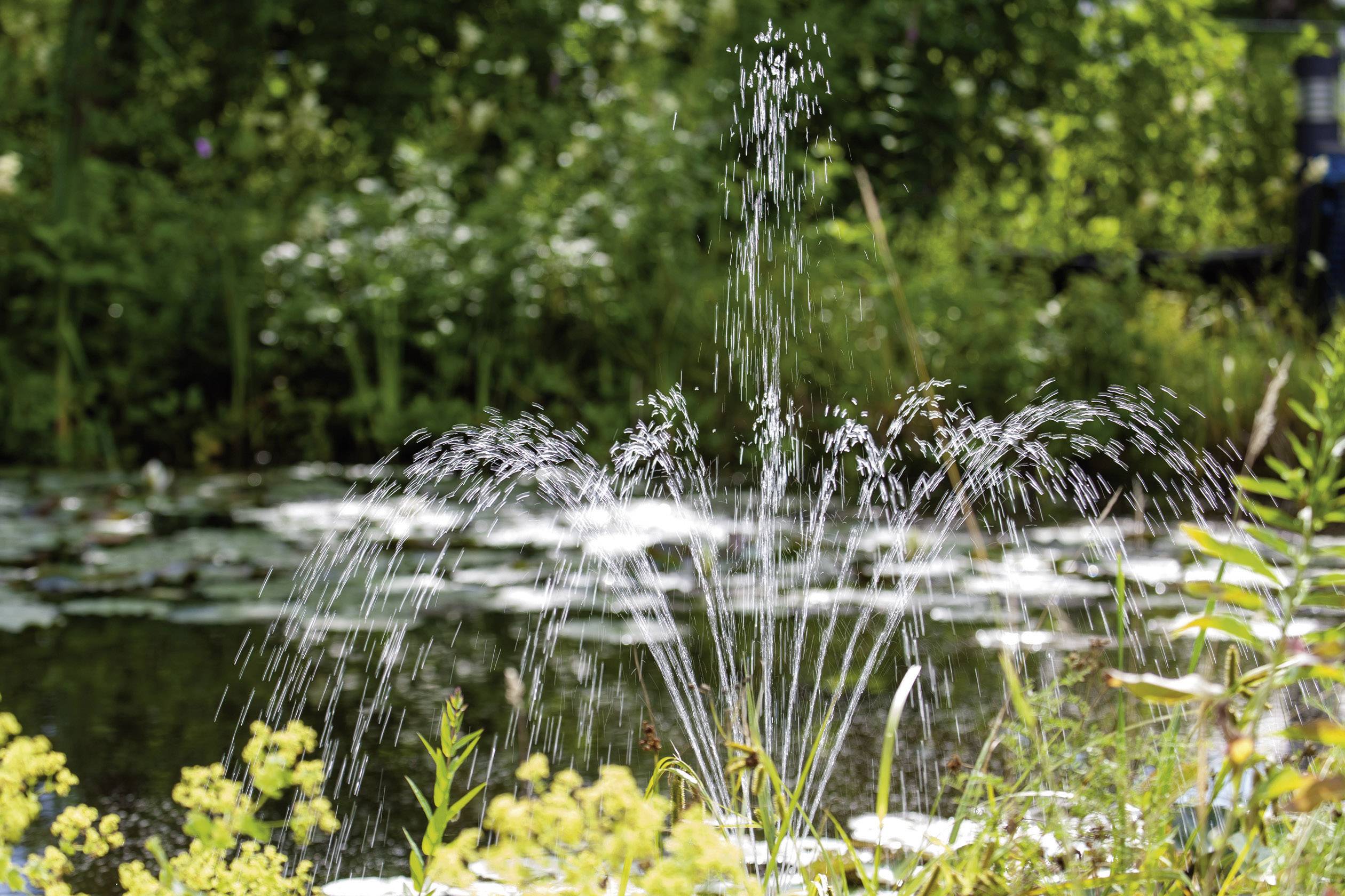 Springbrunnen im Garten, Wasser spritzt in Bögen in die Luft, umgeben von grüner Vegetation und gelbem Laub im Vordergrund.