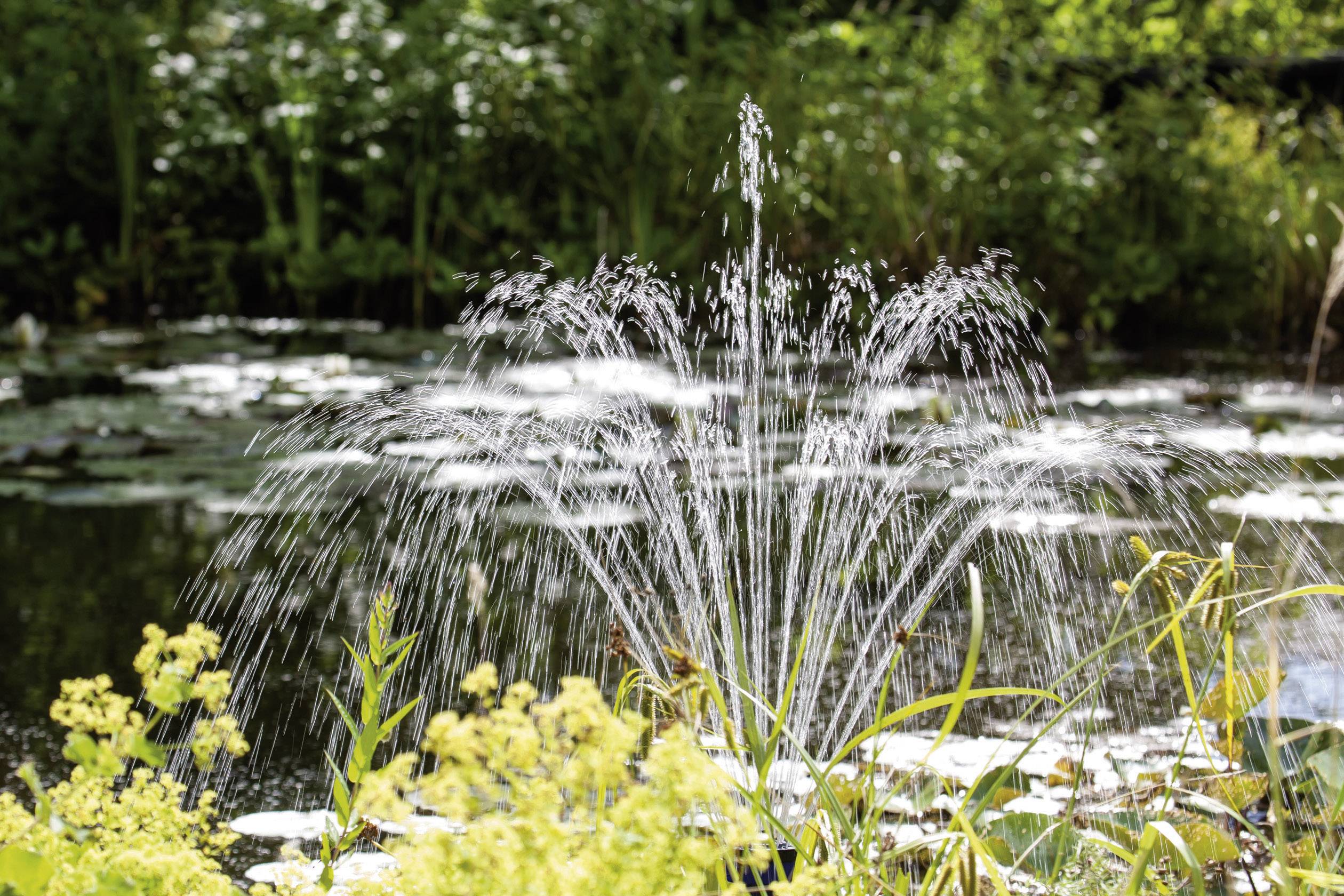 Ein Springbrunnen spritzt Wasser in einem Teich, umgeben von üppiger Vegetation und Seerosenblättern, unter einem hellen Himmel.