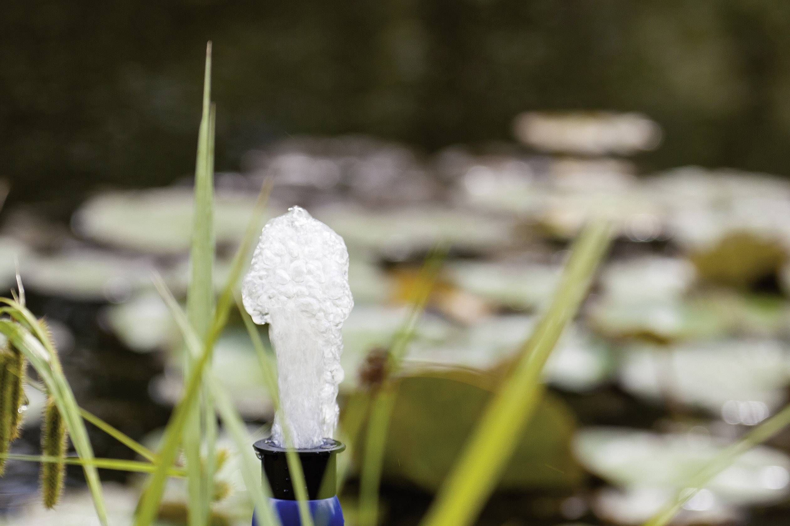 Nahaufnahme eines Wasserhahns, aus dem Wasser sprudelt. Im Hintergrund sind Wasserpflanzen und ein Teich zu sehen.