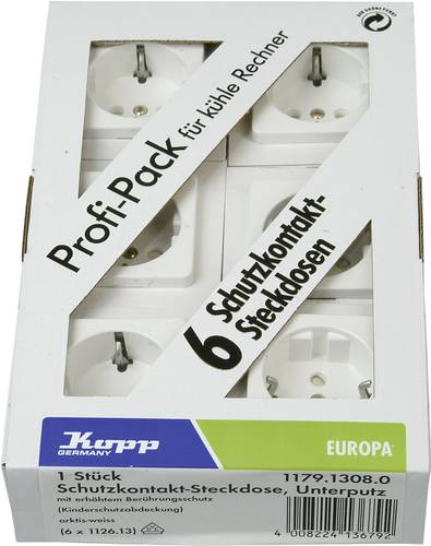 Einsatz Schutzkontakt-Steckdose Europa Arktis-Weiß, Matt 117913080