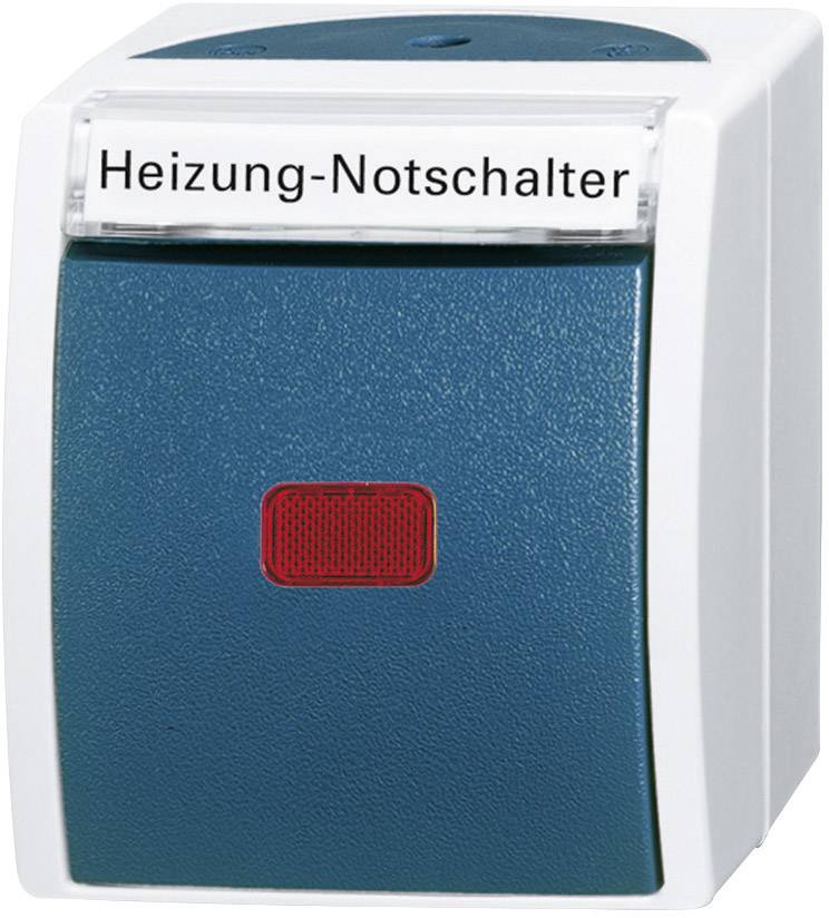 Busch-Jaeger 2601/6 SKWNH-53 Feuchtraum-Schalterprogramm Heizungs-Notschalter Ocean Aufputz Blau, Grün 1 St.