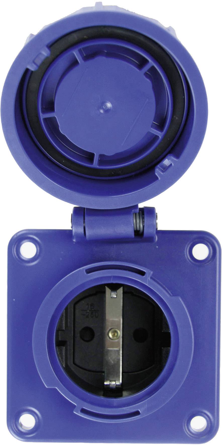 Eine blaue industrielle Steckdose in quadratischer Form mit offenem Deckel, gezeigt von vorne.