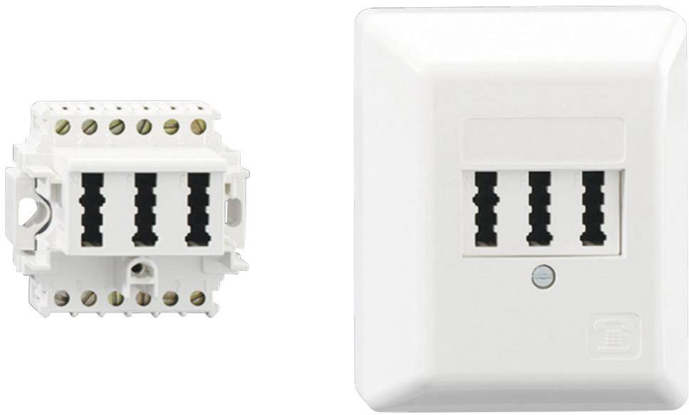 Rutenbeck 10310114 Telefondose Aufputz Reinweiß