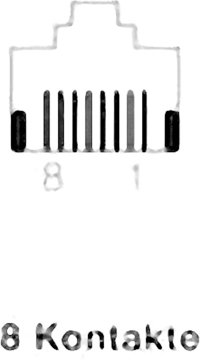 Rutenbeck Anschlußdose UAE 8(8) Ap rw