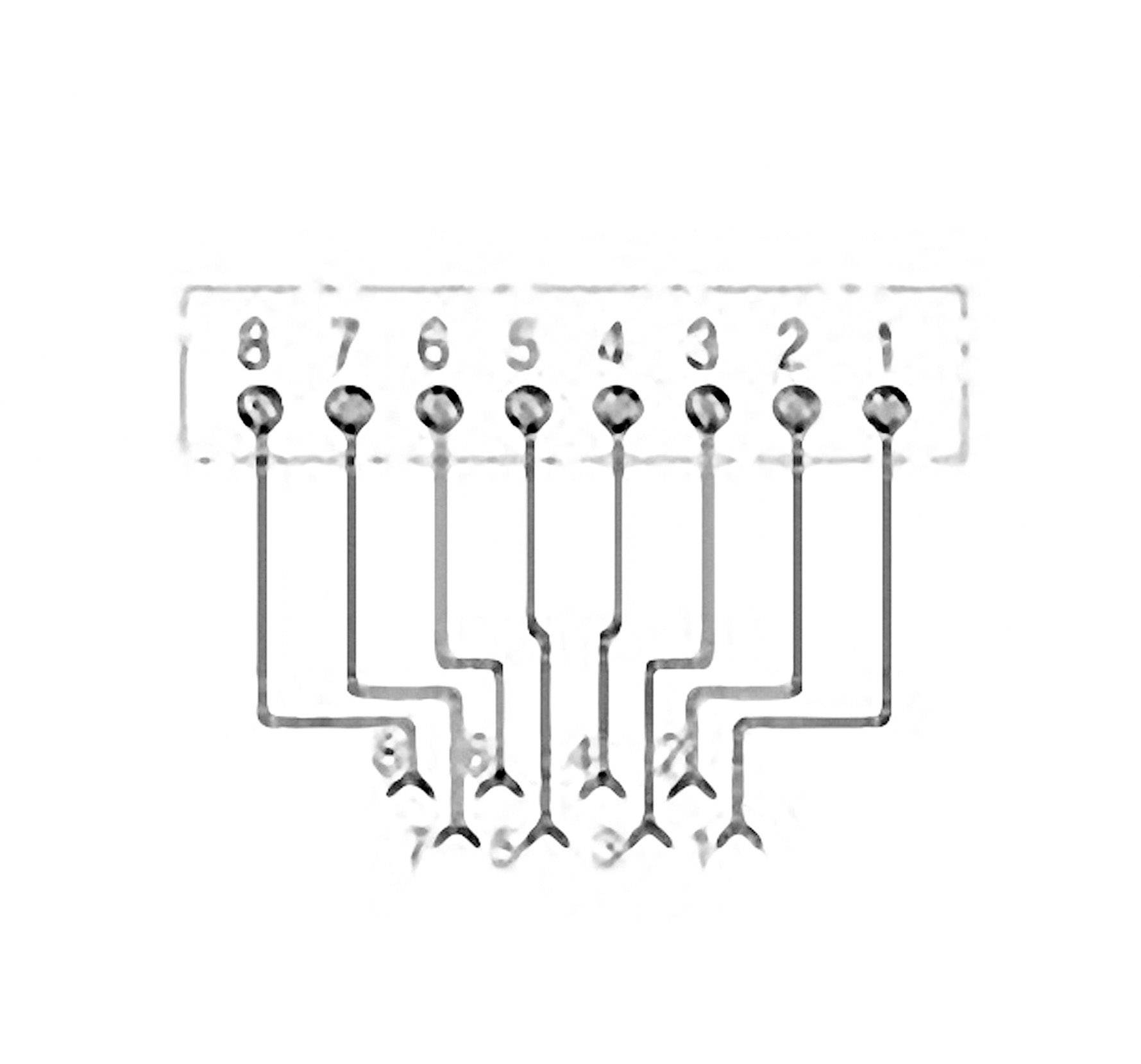 Rutenbeck Anschlußdose UAE 8(8) Ap rw