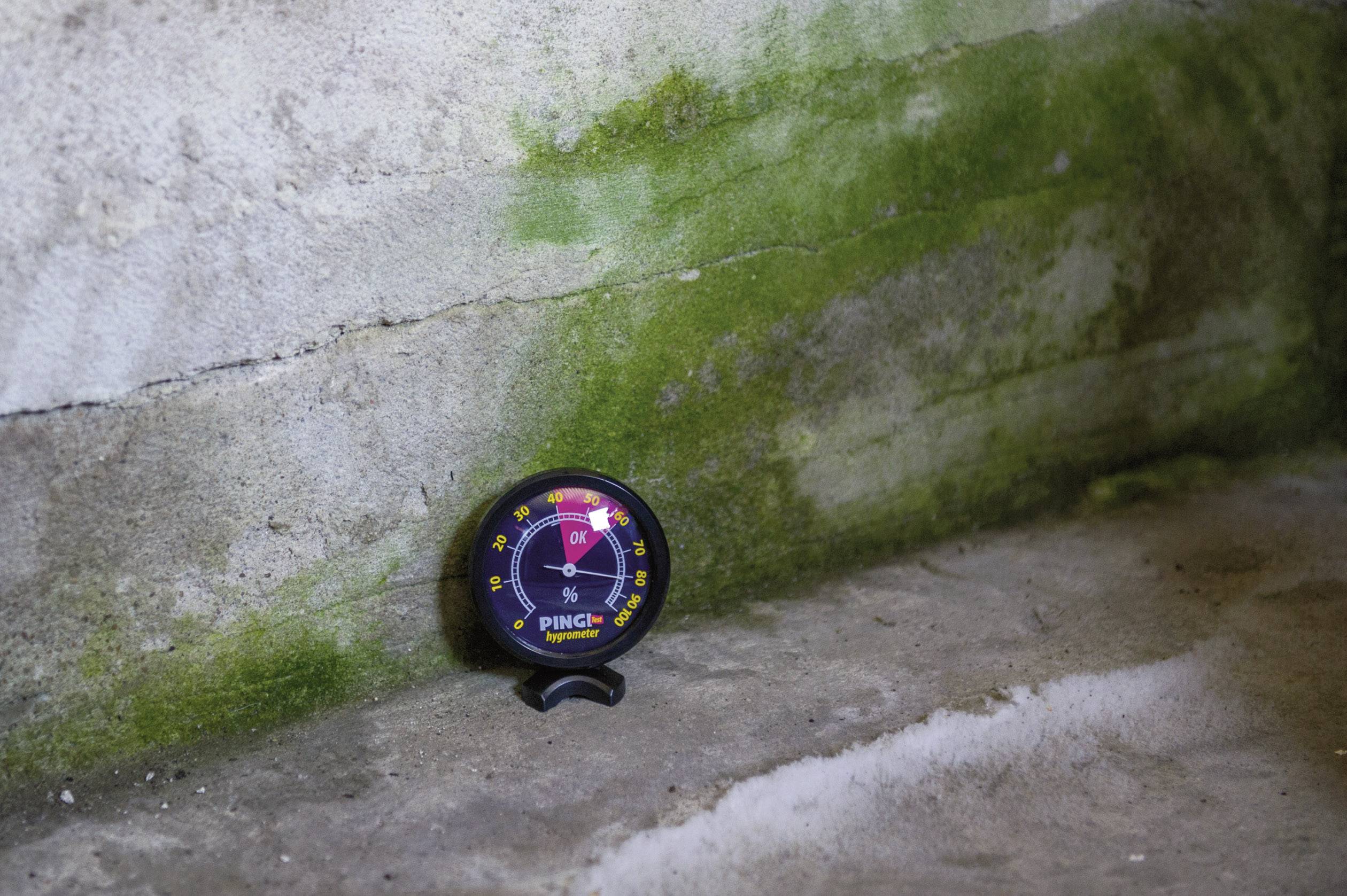 PINGI PHT-100-EDFN Hygrometer Schwarz