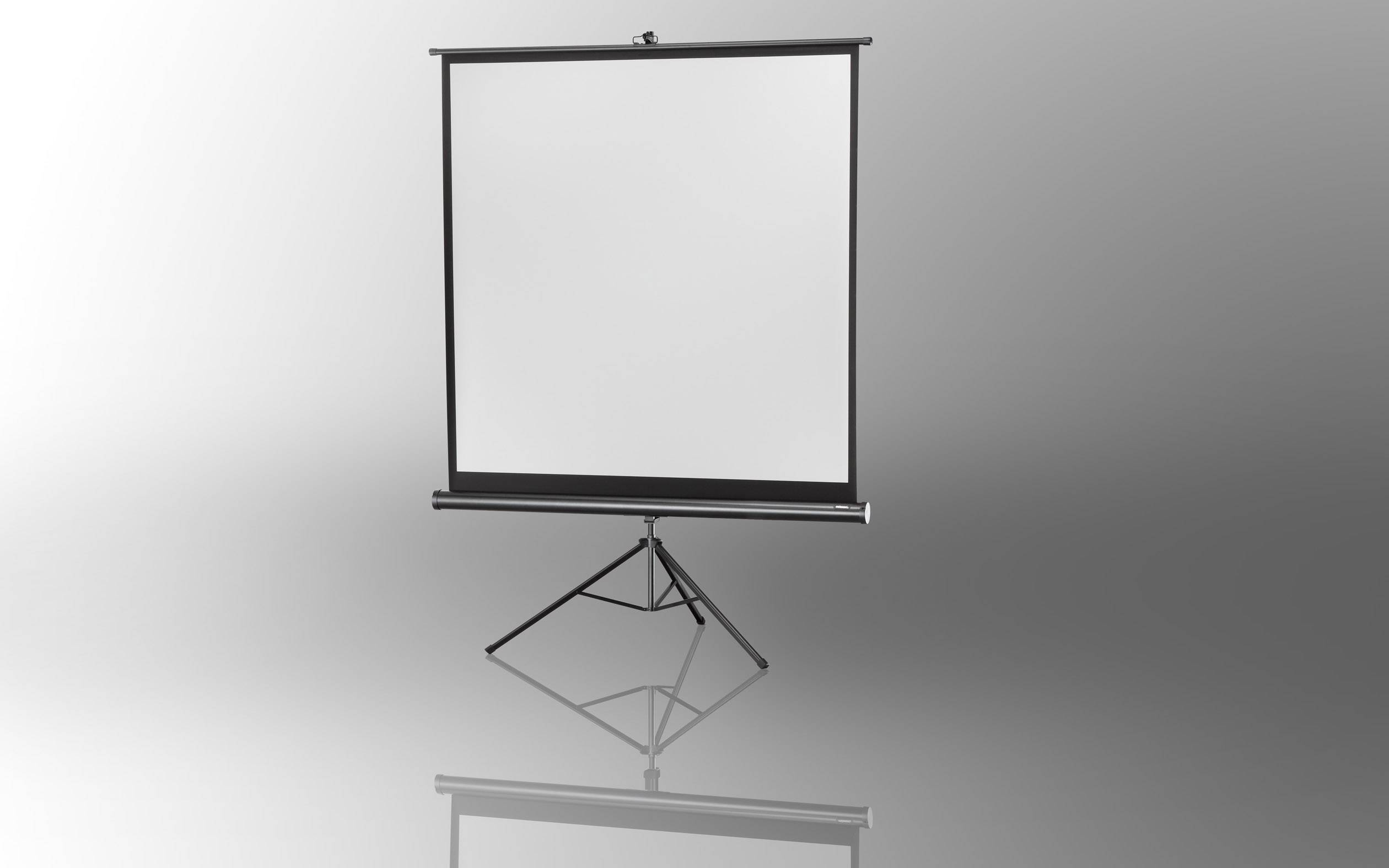 Ein weißes Projektionsleinwand auf einem dreibeinigen Ständer vor einem grauen Hintergrund.