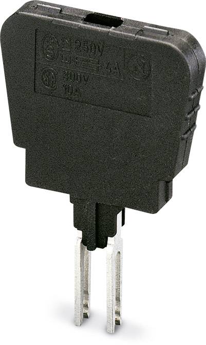 Ein schwarzer, rechteckiger Adapter mit Metallstiften. Aufdruck: '250V, 10A'. Verwendet zur Spannungsanpassung.