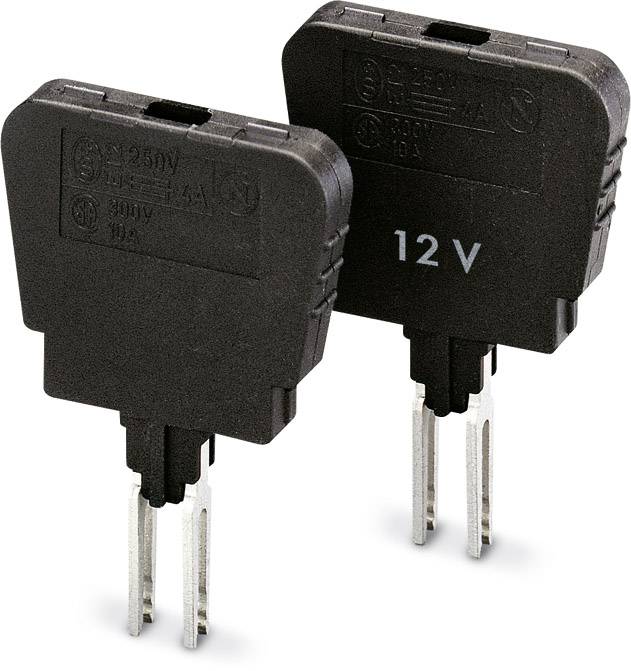Zwei schwarze elektrische Sicherungen mit der Aufschrift '12 V'. Sie sind vertikal ausgerichtet und besitzen silberne Metallzungen.
