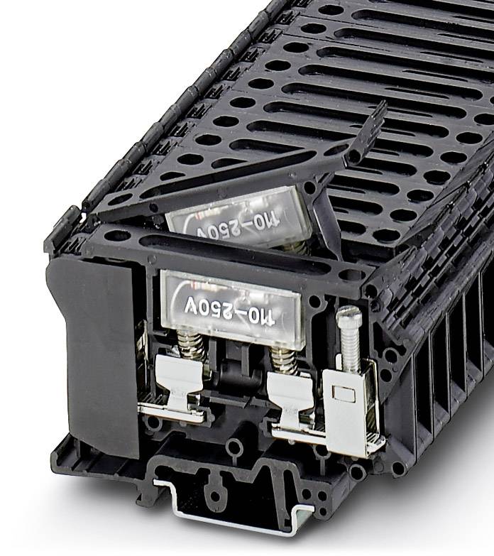 Sicherungshalter mit durchsichtigen Abdeckungen, zwei Sicherungen in einem schwarzen Gehäuse. Geeignet für elektrische Anwendungen.