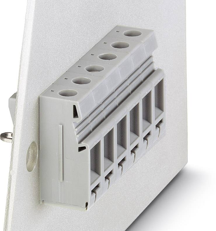 Eine graue elektrische Anschlussklemme mit sechs Eingängen, montiert auf einer rechteckigen weißen Platte.