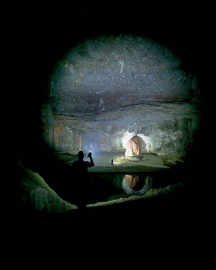 Ledlenser P14 LED Taschenlampe batteriebetrieben 84 h 371 g