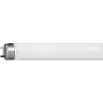 Osram HOMELIGHTING Leuchtstoffröhre EEK: G (A - G) G13 18W Warmweiß Röhrenform (Ø x L) 26mm x 604mm 1St. Osram HOMELIGHTING Leuchtstoffröhre EEK: G (A - G) G13 18W Warmweiß Röhrenform (Ø x L) 26mm x 604mm 1St.