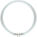 Osram Leuchtstoffröhre EEK: G (A - G) 2GX13 22 W Neutralweiß 840 Ringform (Ø x L) 16 mm x 240 mm 1