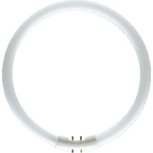 Osram Leuchtstoffröhre EEK: G (A - G) 2GX13 22W Neutralweiß 840 Ringform (Ø x L) 16mm x 240mm 1St.