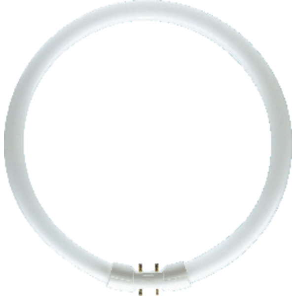 Osram Leuchtstoffröhre EEK: G (A - G) 2GX13 40W Warmweiß 830 Ringform (Ø x L) 16mm x 305mm 1St.