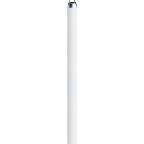 OSRAM Tube fluorescent CEE 2021: G (A - G) G5 8 W blanc froid 840 forme de tube (Ø x L) 16 mm x 288 mm