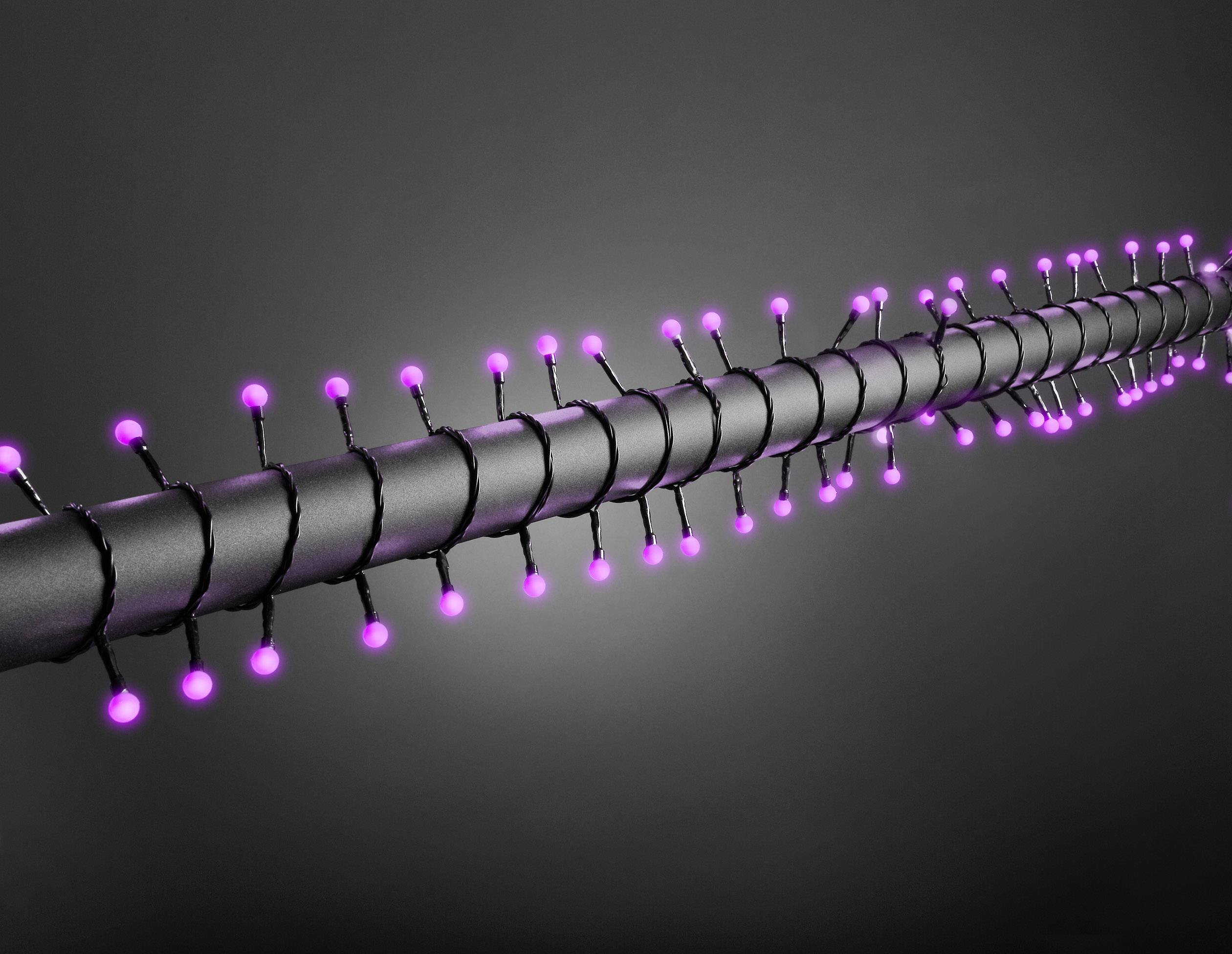 Konstsmide 3691-457 Micro-Lichterkette Außen netzbetrieben Anzahl Leuchtmittel 80 LED Purpur