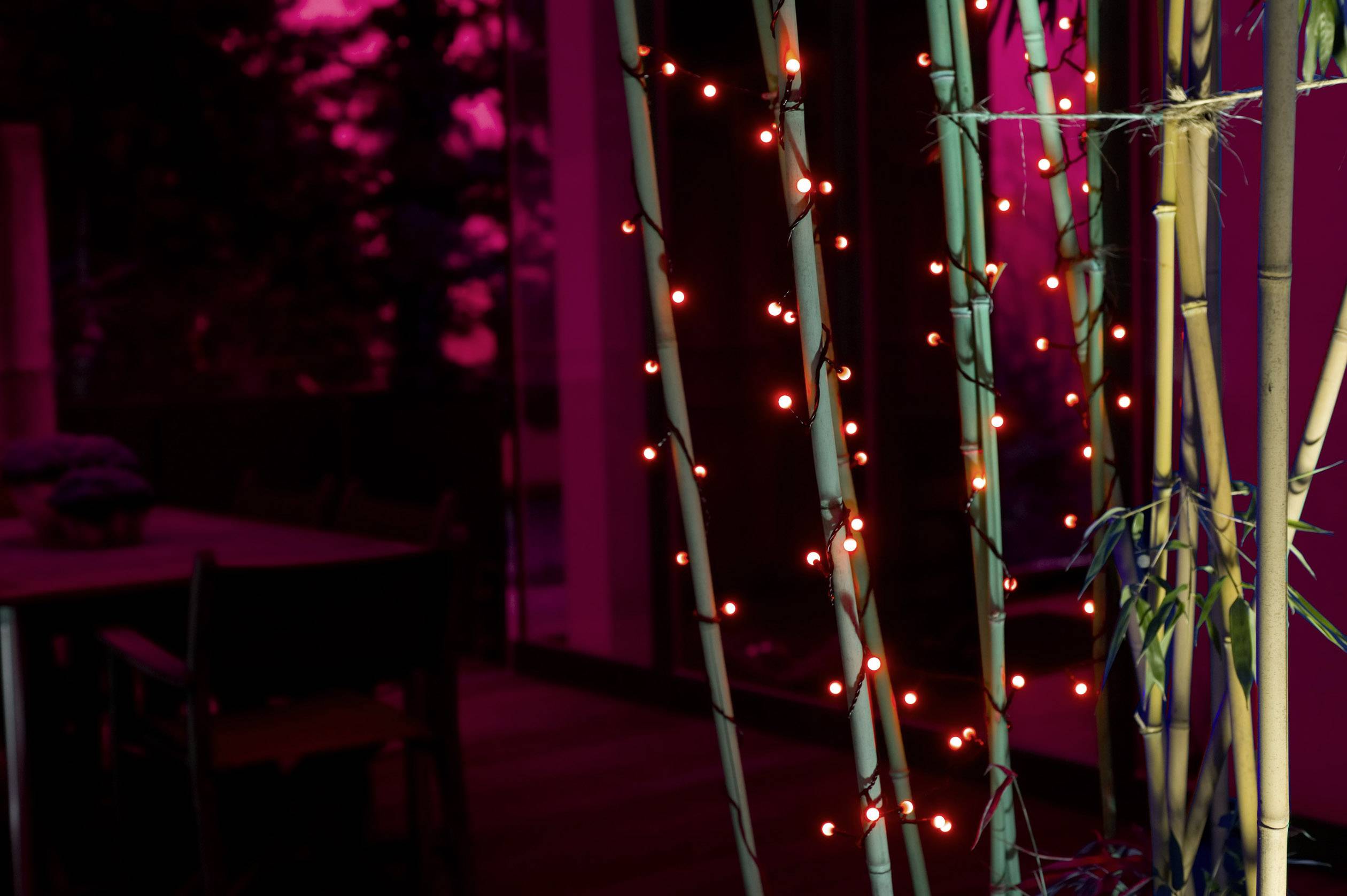 Konstsmide 3691-557 Micro-Lichterkette Außen netzbetrieben Anzahl Leuchtmittel 80 LED Rot Beleuchtete Länge: 6.32 m