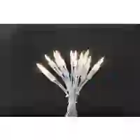 Konstsmide 6302-103 Mini-Lichterkette Innen EEK: G (A - G) netzbetrieben Anzahl Leuchtmittel 35 LED Warmweiß Konstsmide 6302-103 Mini-Lichterkette Innen EEK: G (A - G) netzbetrieben Anzahl Leuchtmittel 35 LED Warmweiß