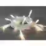 Konstsmide 1408-103 Micro-Lichterkette Innen batteriebetrieben Anzahl Leuchtmittel 20 LED Warmweiß Konstsmide 1408-103 Micro-Lichterkette Innen batteriebetrieben Anzahl Leuchtmittel 20 LED Warmweiß