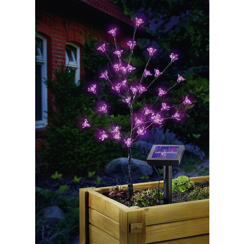 Esotec Solar-Dekoleuchte Arbuste 102104 Blütenstrauch LED 0.6W Pink Anthrazit