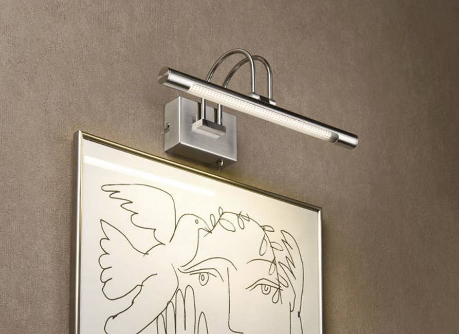 Paulmann Remus 99075 LED-Bilderleuchte 3.5 W  Warmweiß Eisen (gebürstet)