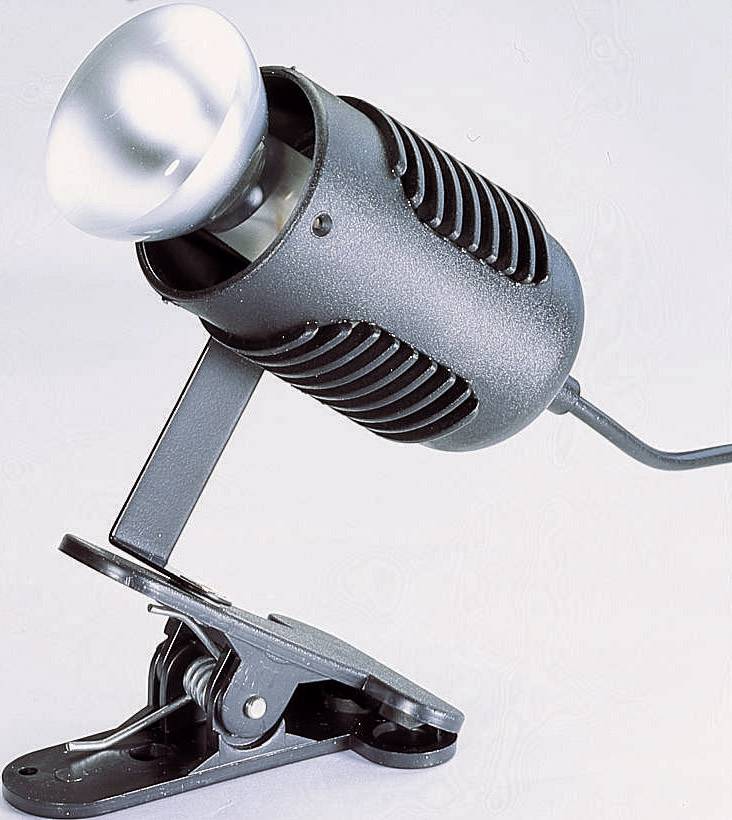 EiKO 4016138033731 Lampenfassung E27 230V 60W mit Eurostecker